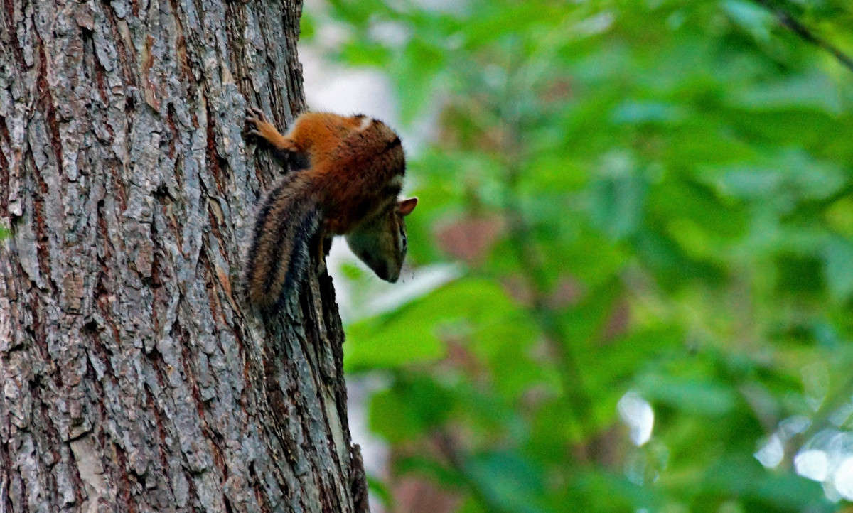 ������������� ������� ����� �������  �� PhotoGeek.ru #�������� ���