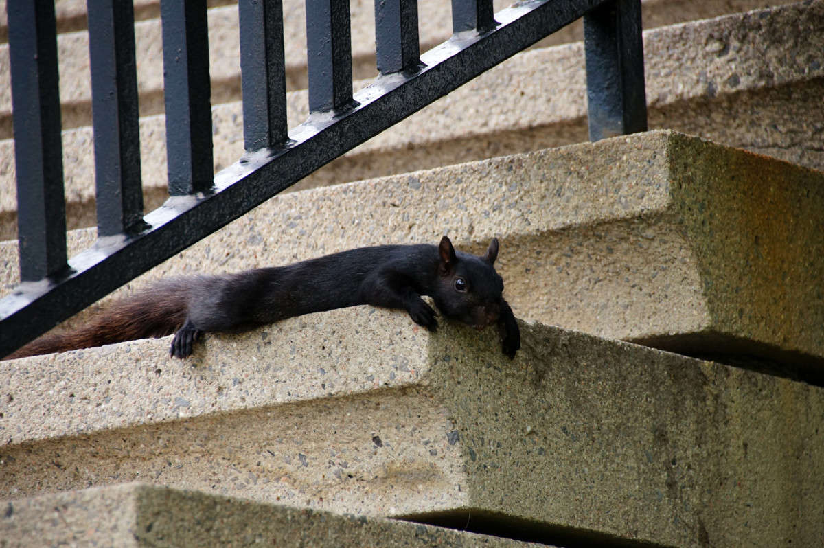 ���� ����� ����� �������  �� PhotoGeek.ru #�����