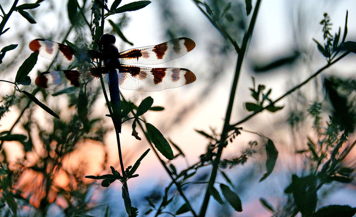 ���������� �������� ����� ����� �������  �� PhotoGeek.ru #�������� ���