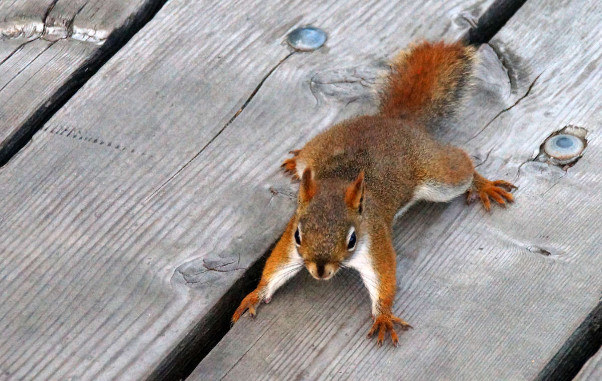 ����� ����� �� ����� ����� �������  �� PhotoGeek.ru #�������� ���