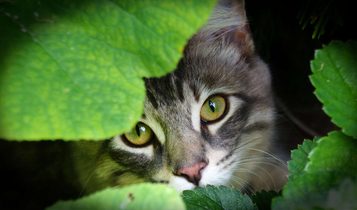 �� ����� ���� � ������� ����� �������  �� PhotoGeek.ru #�������� ���