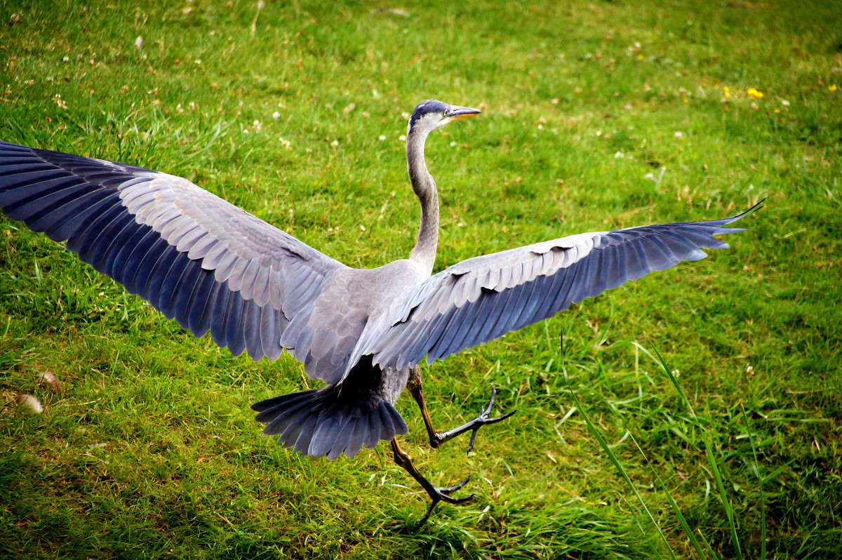 ���������, �������� ����� �������  �� PhotoGeek.ru #�������� ���