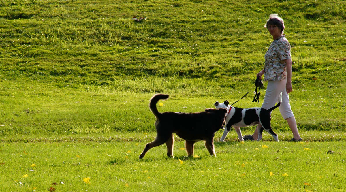 ��� � ����������� ��� ����������� ����� �������  �� PhotoGeek.ru #�������� ���