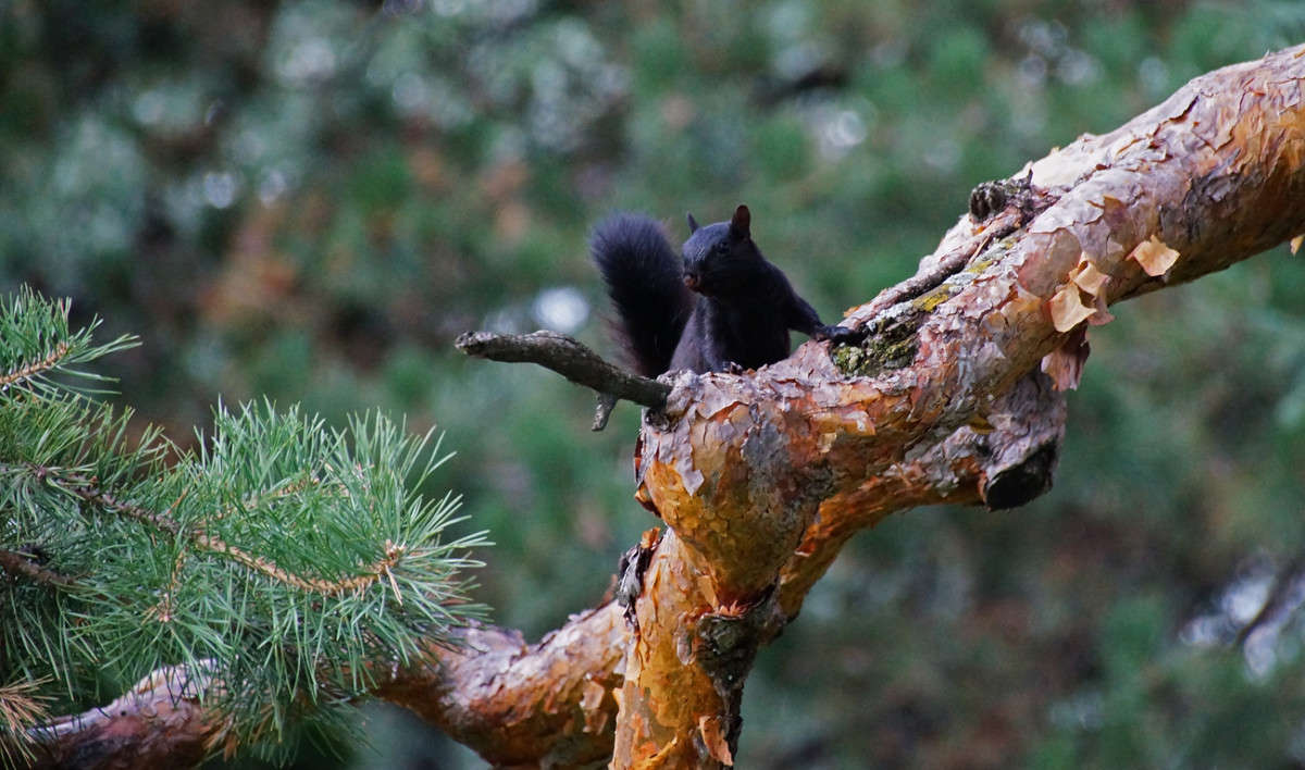 �� ����� ��������� ����� �������  �� PhotoGeek.ru #�������� ���