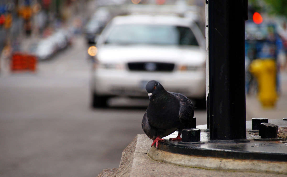 �������� ����� �������  �� PhotoGeek.ru #�����