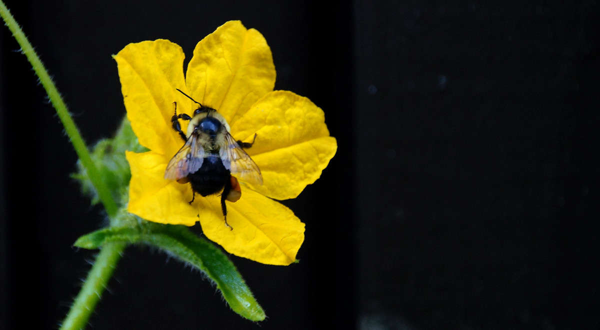 ������ ���� ��������� ����� �������  �� PhotoGeek.ru #�������� ���