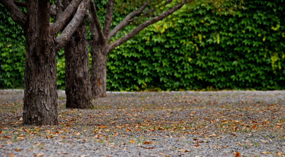 ��� �� ������ �������� ����� �������  �� PhotoGeek.ru #�����