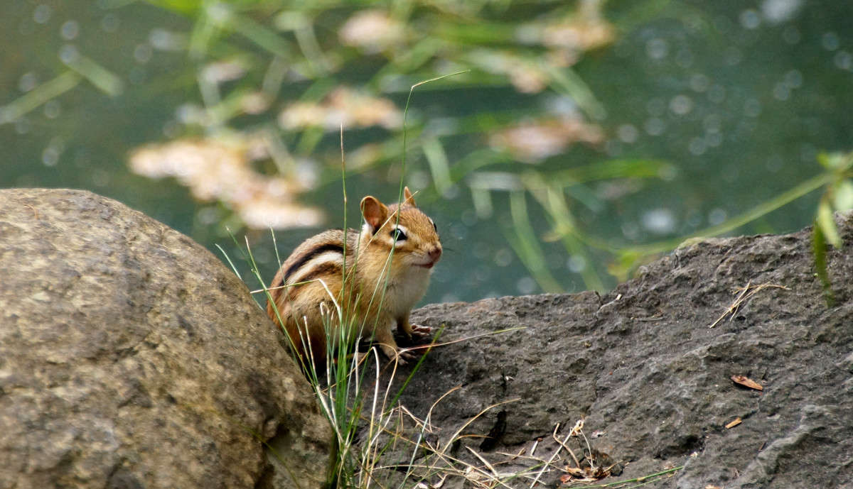 ��������! ����� �������  �� PhotoGeek.ru #�������� ���