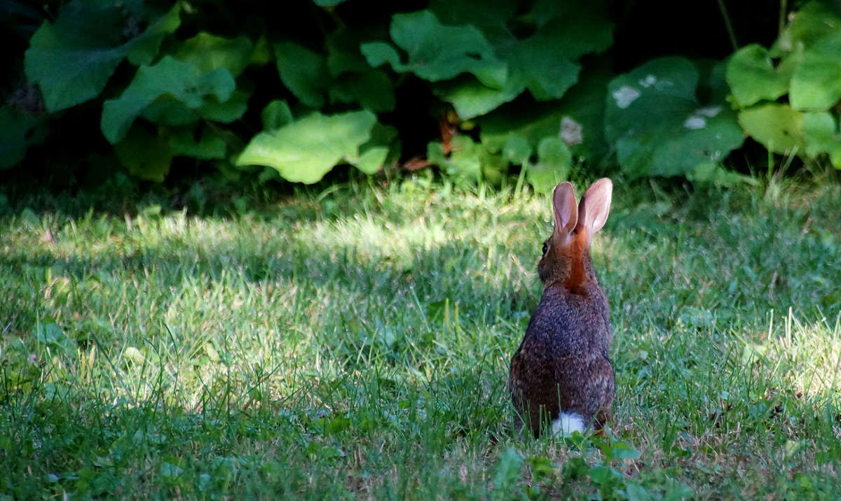 ��� ���� �� ������� ����� �������  �� PhotoGeek.ru #�������� ���