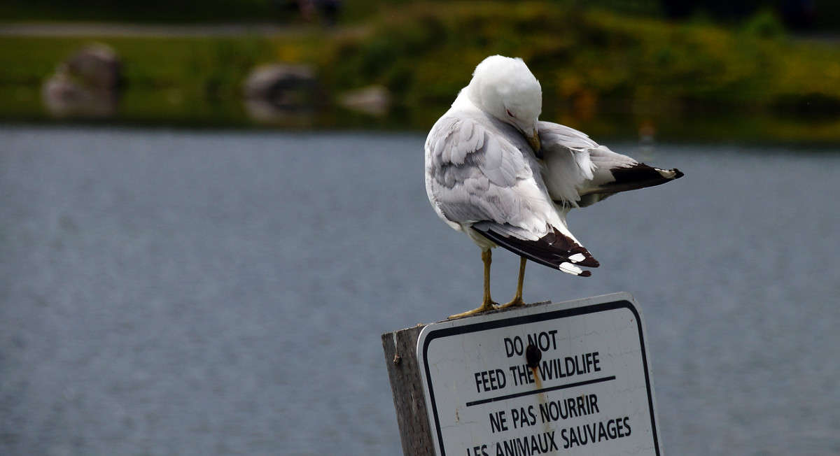 ��������� �� ������� ����� �������  �� PhotoGeek.ru #�������� ���