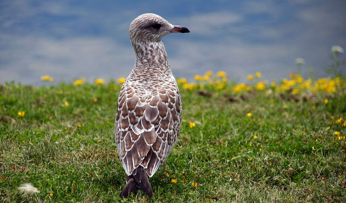 ������������ ����� �������  �� PhotoGeek.ru #�������� ���