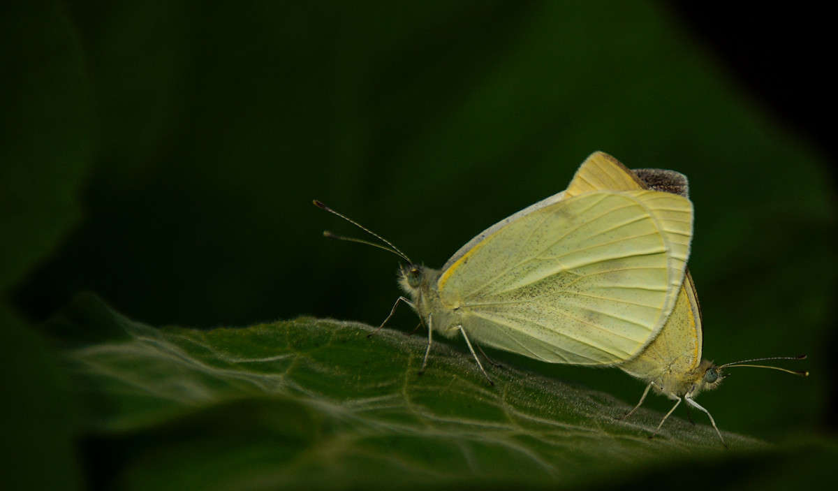 ���������� ����� �������  �� PhotoGeek.ru #�������� ���