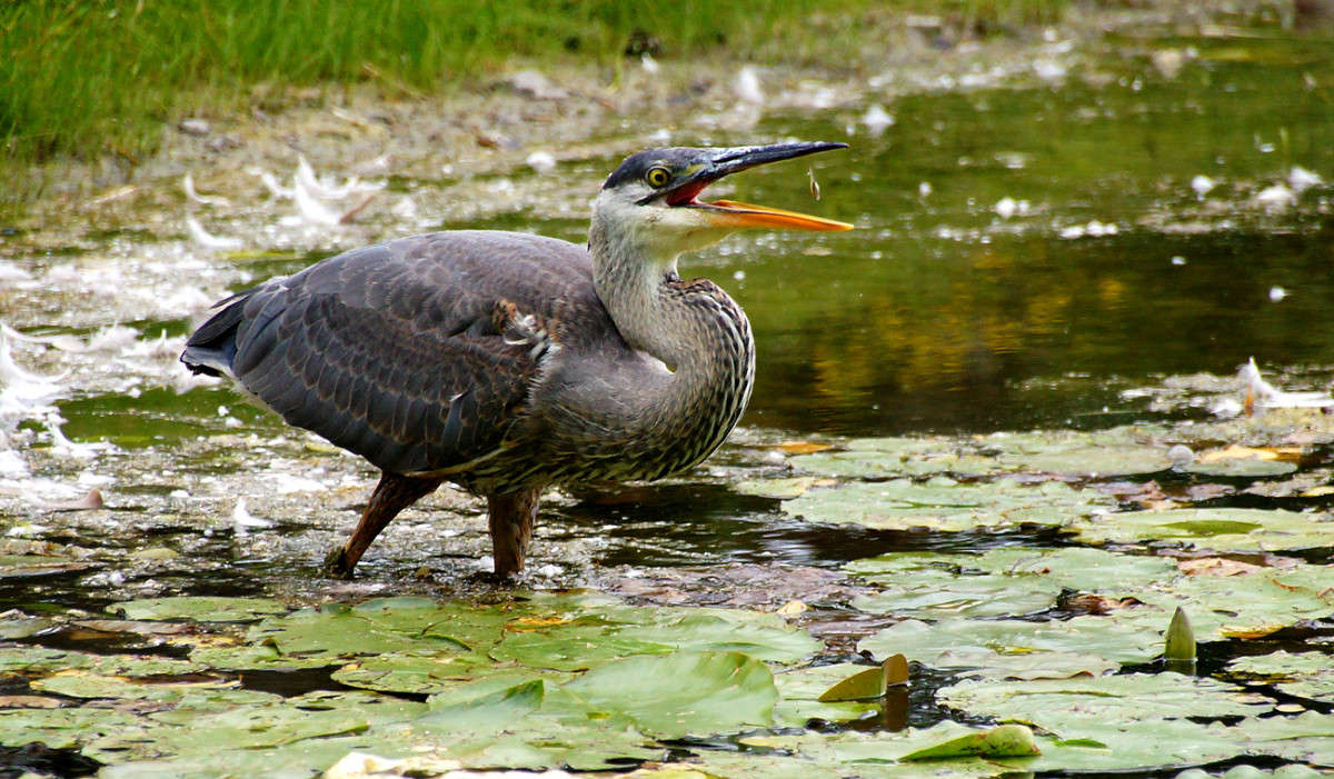 ���������, �� ����! ����� �������  �� PhotoGeek.ru #�������� ���