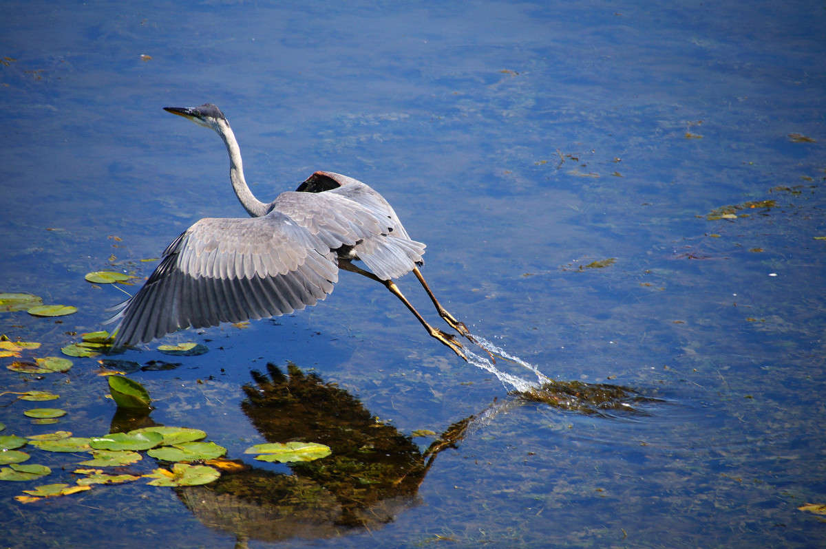 ���� ���������� ����� �������  �� PhotoGeek.ru #�������� ���