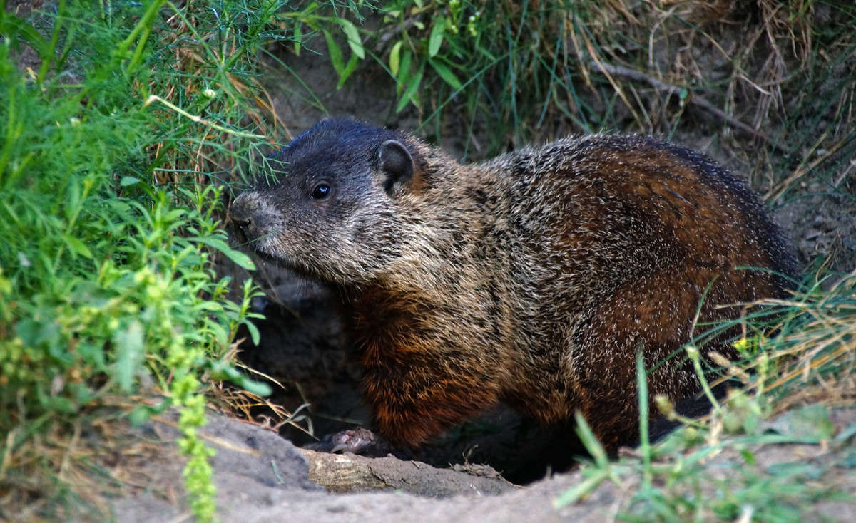 �� ������ ���� ������ ����� �������  �� PhotoGeek.ru #�������� ���