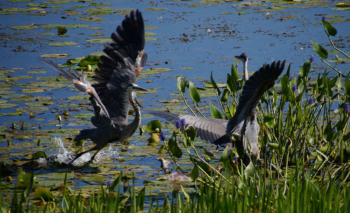 ��������� ������ ����� �������  �� PhotoGeek.ru #�������� ���