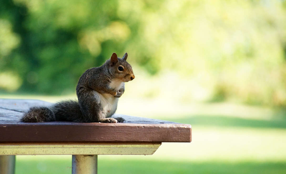 ������ ������� ���� ����� �������  �� PhotoGeek.ru #�������� ���