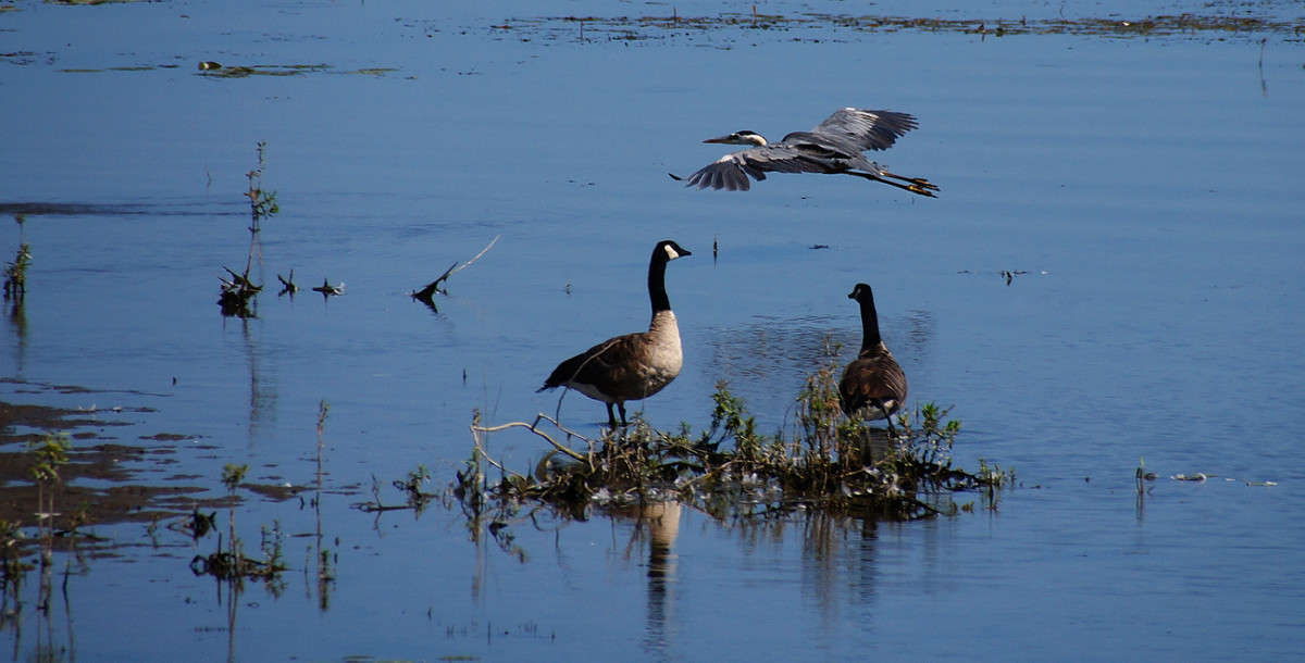 -���, �����... - ��������������. ����� �������  �� PhotoGeek.ru #�������� ���