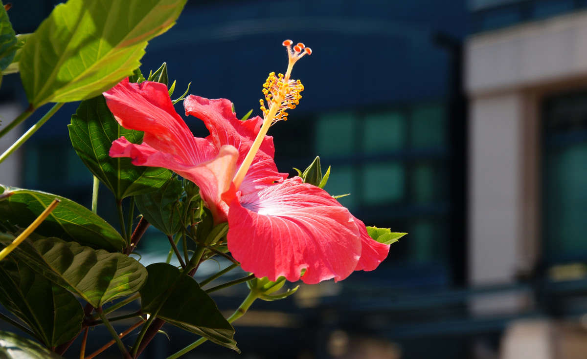 World Exchange Plaza ����� �������  �� PhotoGeek.ru #�����