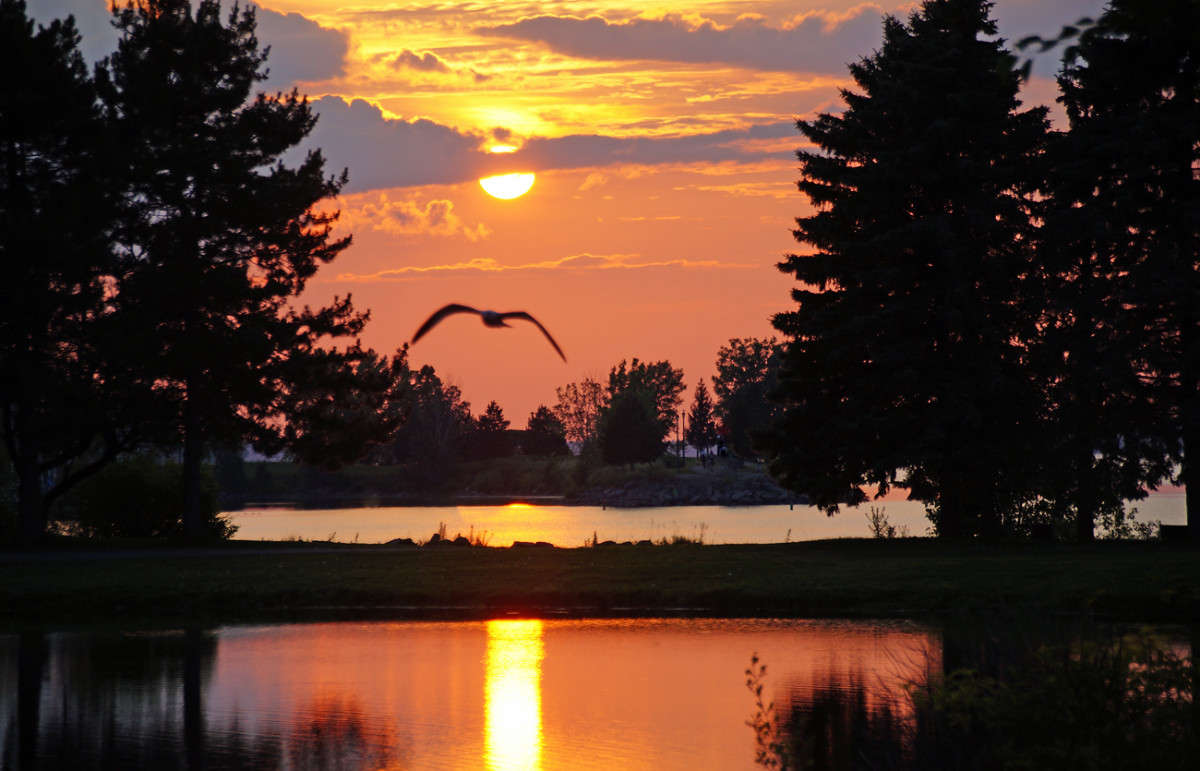 � ���� �������� ����� �������  �� PhotoGeek.ru #������ ��� �������
