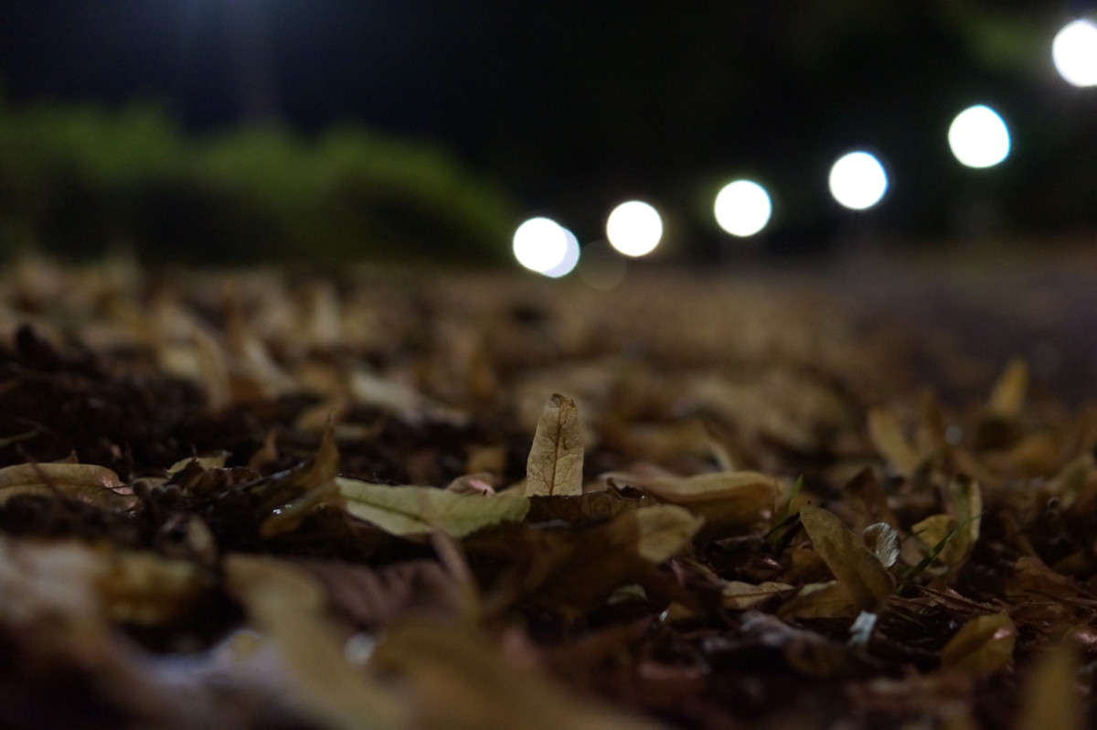 ���� ���� ����� �������  �� PhotoGeek.ru #�����