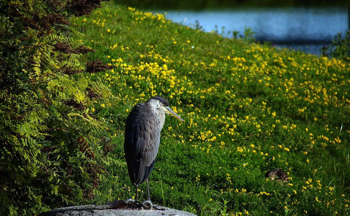 �������� ��������� ��������� ����� �������  �� PhotoGeek.ru #�������� ���