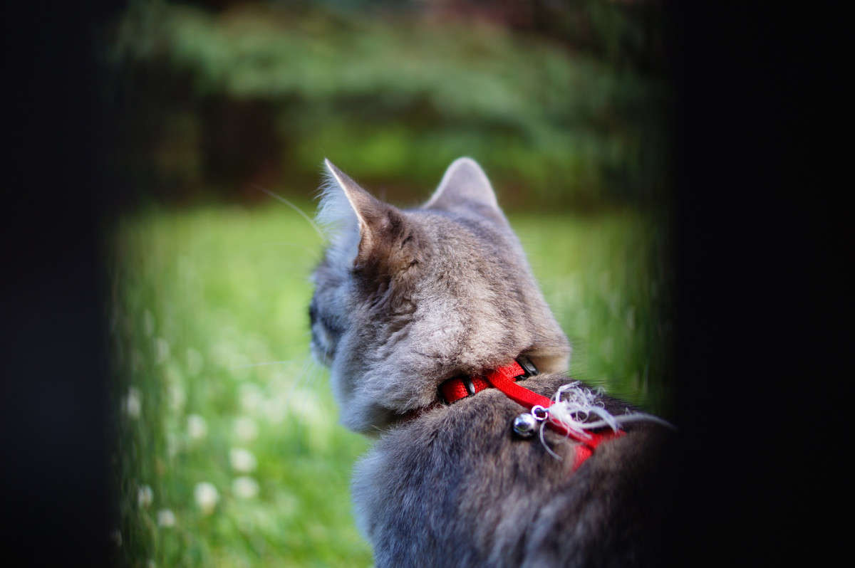 �� ���� �� ������� ����� �������  �� PhotoGeek.ru #�������� ���