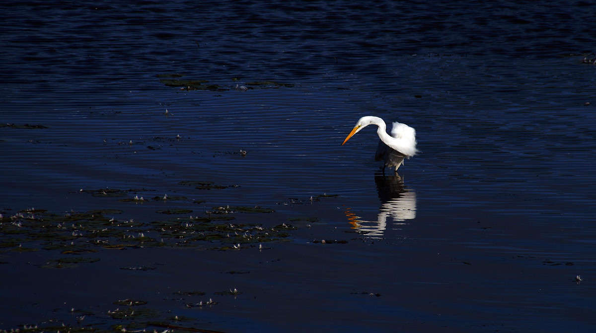 ���-���� ����� �������  �� PhotoGeek.ru #�������� ���