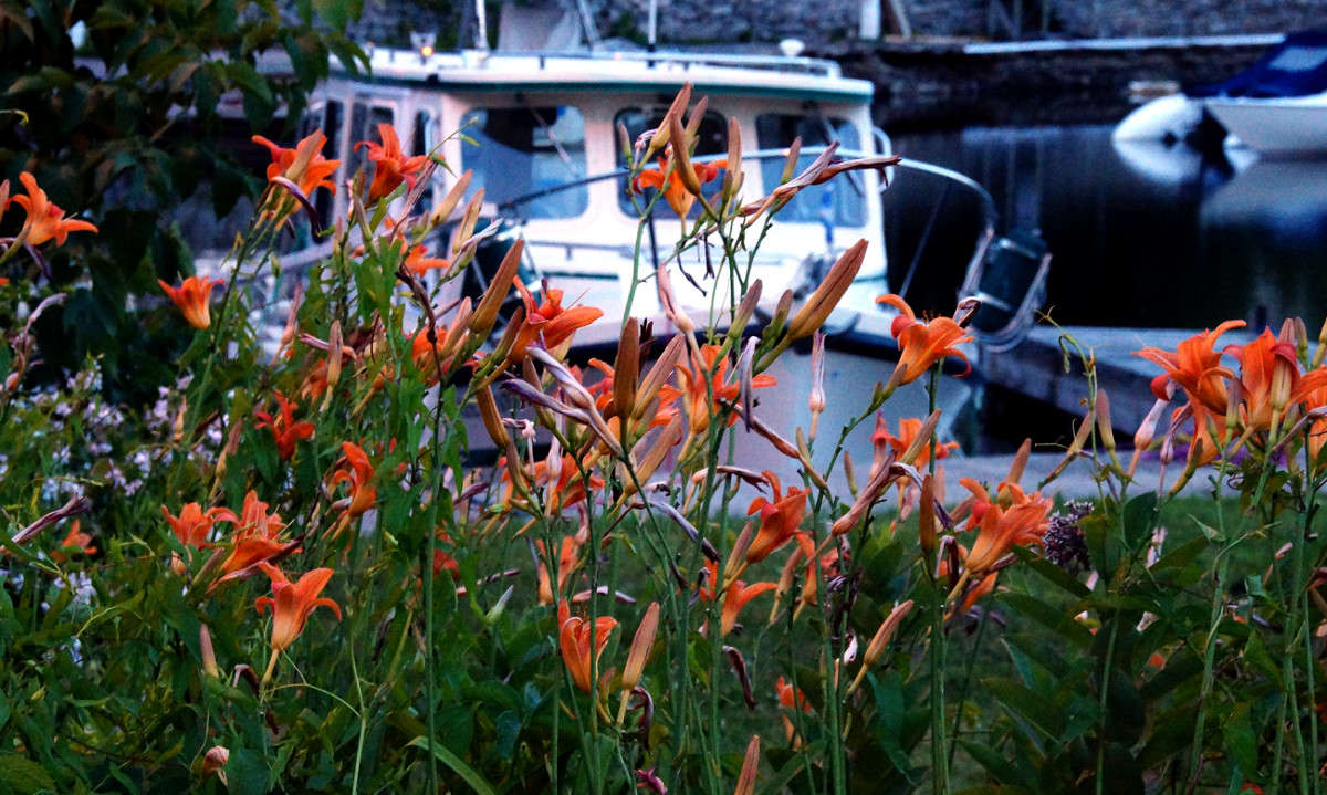 ����� ����� �������� ����� �������  �� PhotoGeek.ru #�����