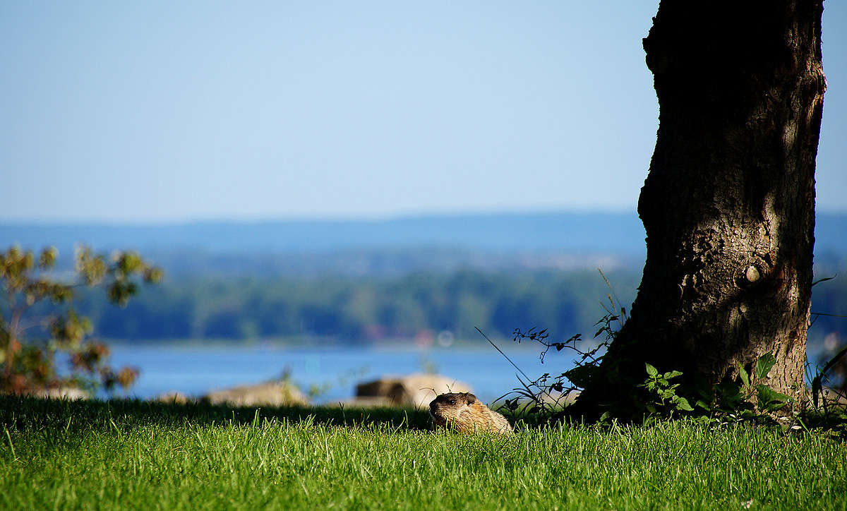 ���� � ������ ����� �������  �� PhotoGeek.ru #�������� ���