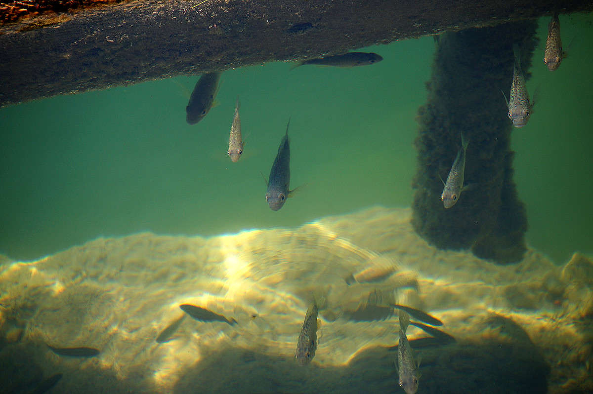 �����! ����� �������  �� PhotoGeek.ru #�������� ���