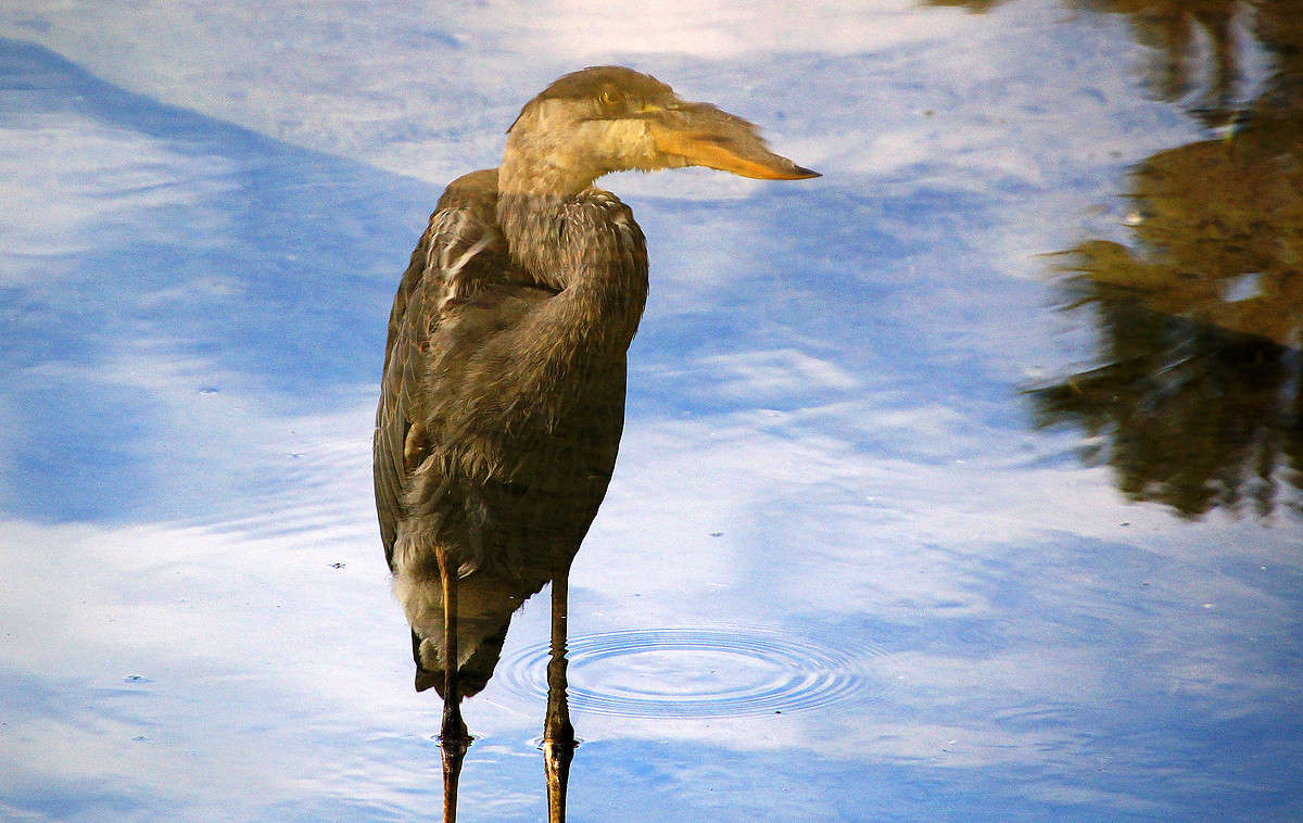 ��������� ����� �������  �� PhotoGeek.ru #�������� ���