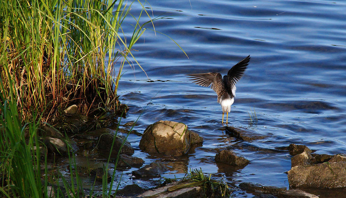 ����������� ����� �������  �� PhotoGeek.ru #�������� ���