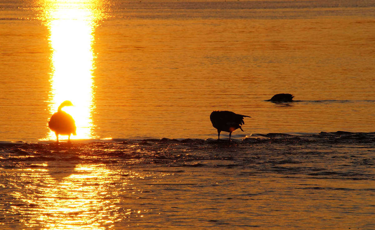 �� ����� ������! ����� �������  �� PhotoGeek.ru #�������� ���