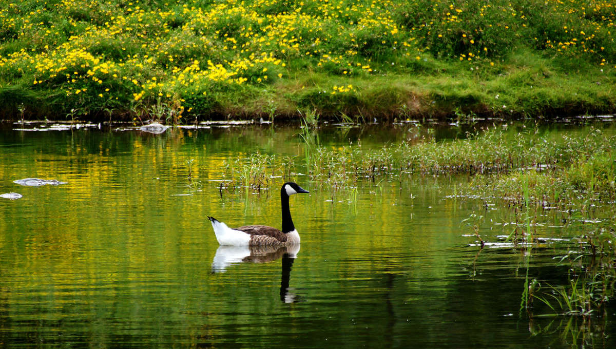 �������� ����������� ����� �������  �� PhotoGeek.ru #�������� ���