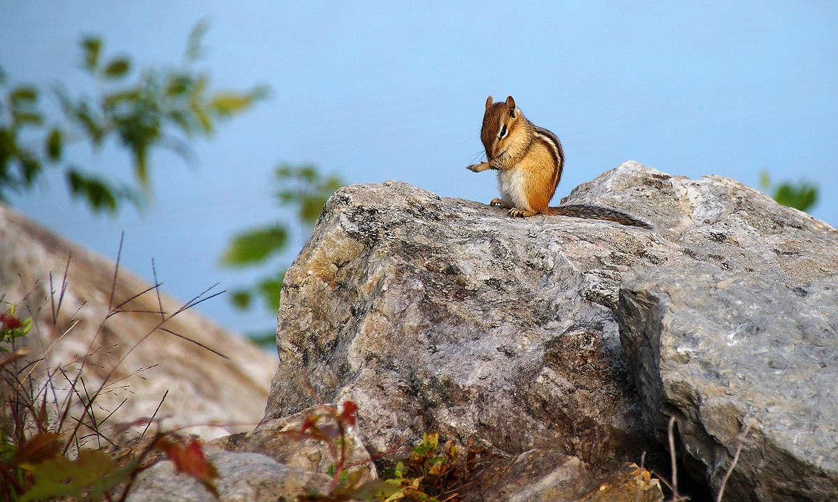 ����������� ����� ���������� ����� �������  �� PhotoGeek.ru #�������� ���