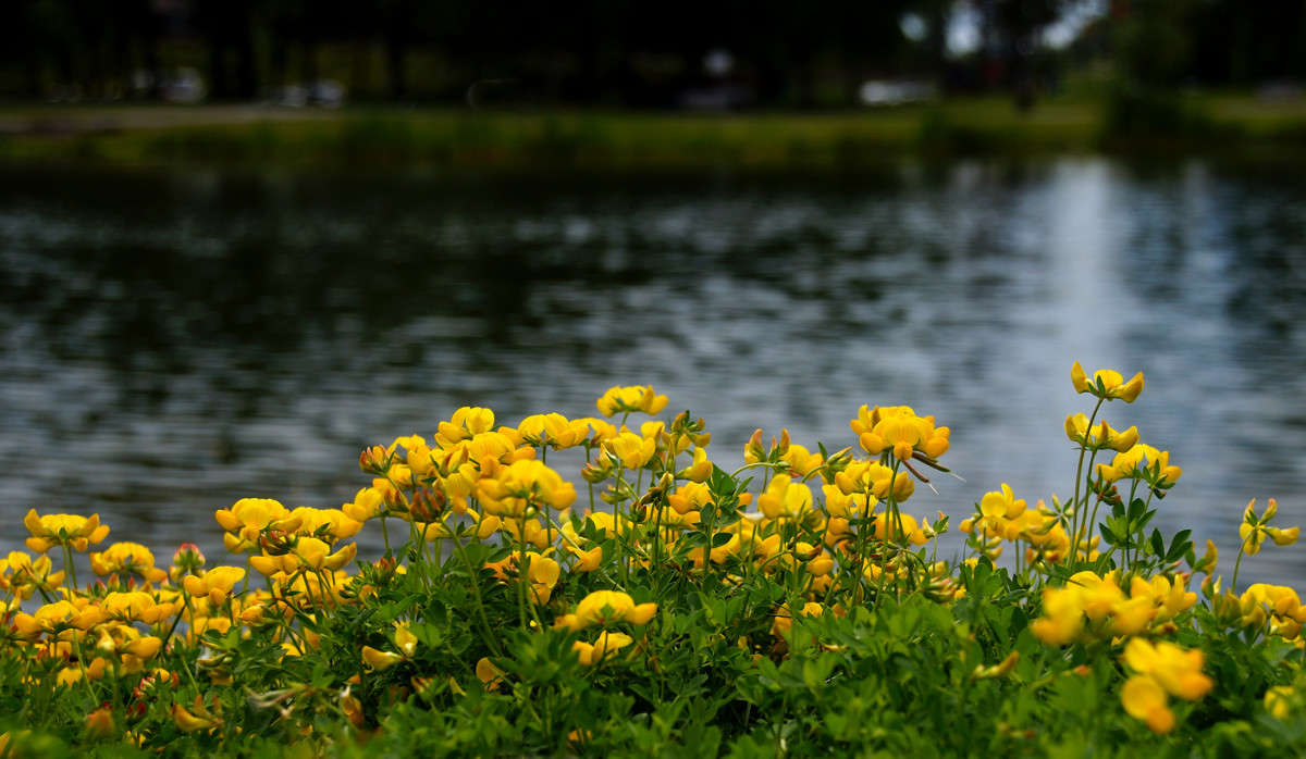Ƹ�������� ��� �������� ����� �������  �� PhotoGeek.ru #������ ��� �������