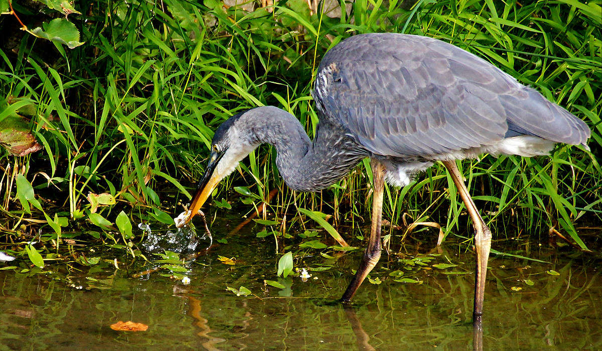 ��������� ����� �������  �� PhotoGeek.ru #�������� ���