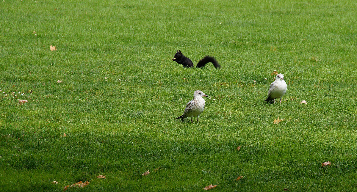 ������ ����� �������  �� PhotoGeek.ru #�������� ���