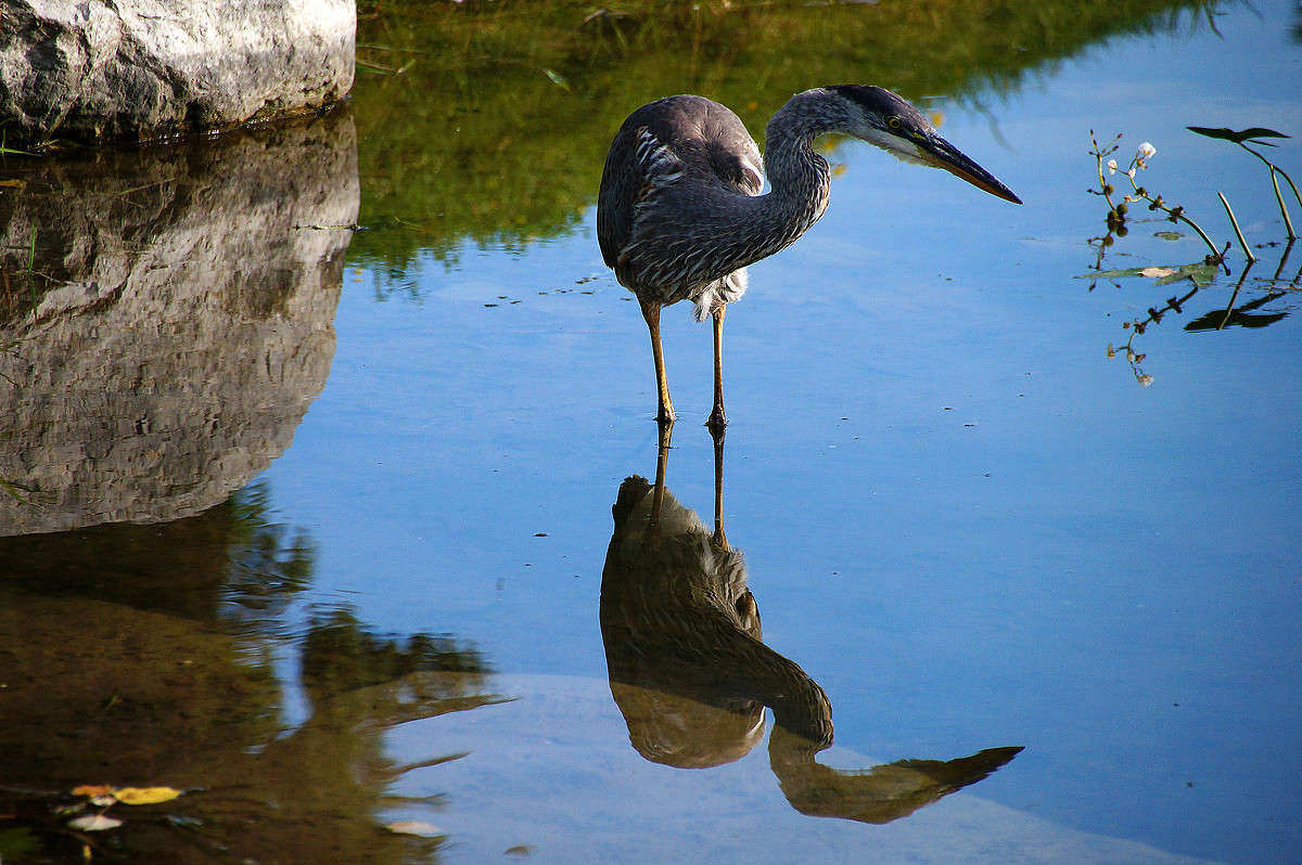 � � ��������� ��������� ����� �������  �� PhotoGeek.ru #�������� ���