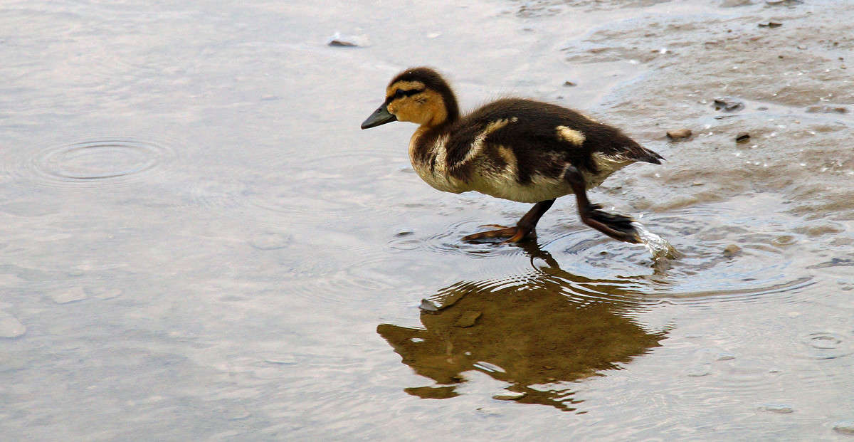 ������� ����� ���������� ����� �������  �� PhotoGeek.ru #�������� ���