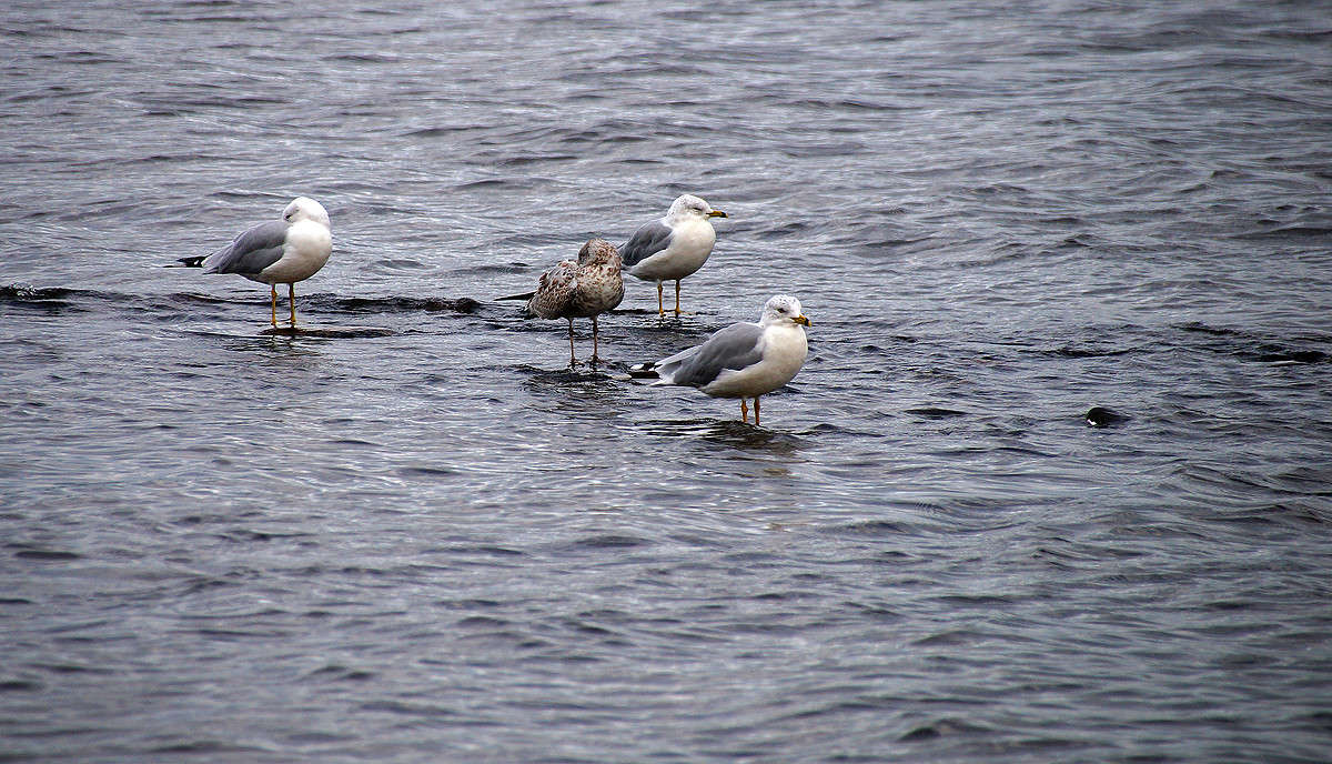 ���������� ������ ����� ������ ����� �������  �� PhotoGeek.ru #�������� ���