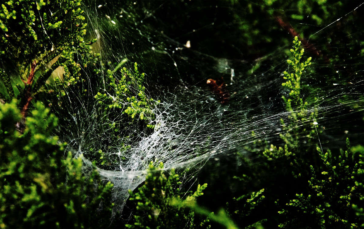 ������� ���� ����� �������  �� PhotoGeek.ru #������ ��� �������