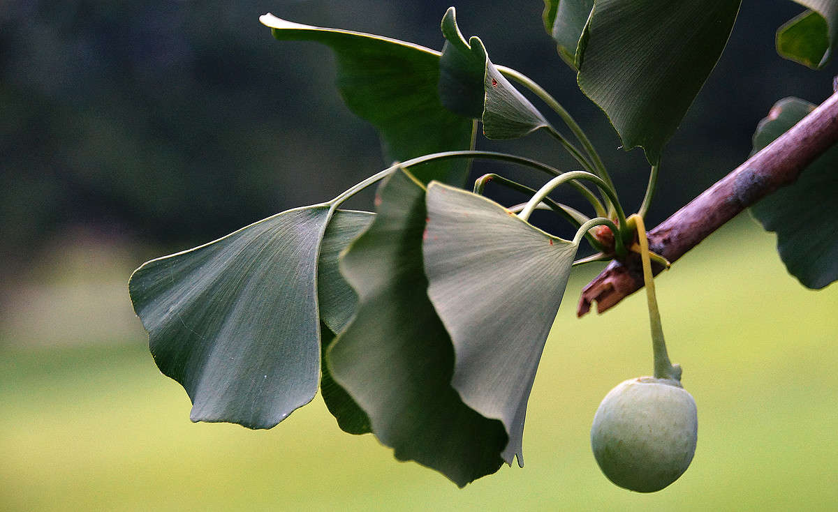 ������ ����� �������  �� PhotoGeek.ru #������ ��� �������