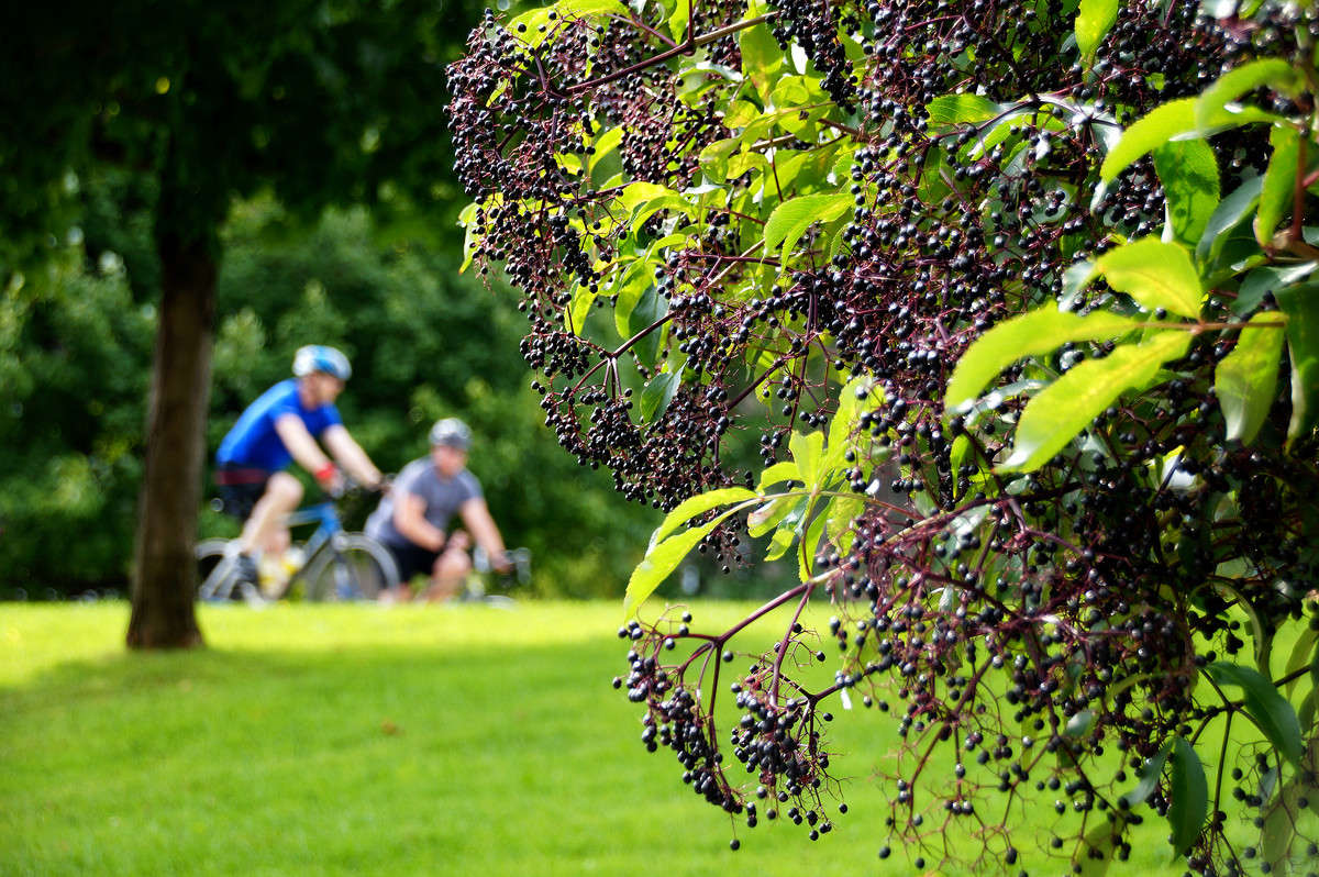 ����� ������ ����� �������  �� PhotoGeek.ru #�����