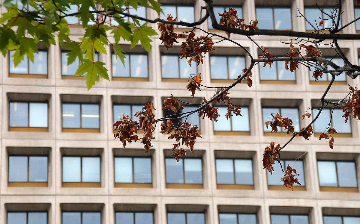 ��� ���������� ����� �������  �� PhotoGeek.ru #�����