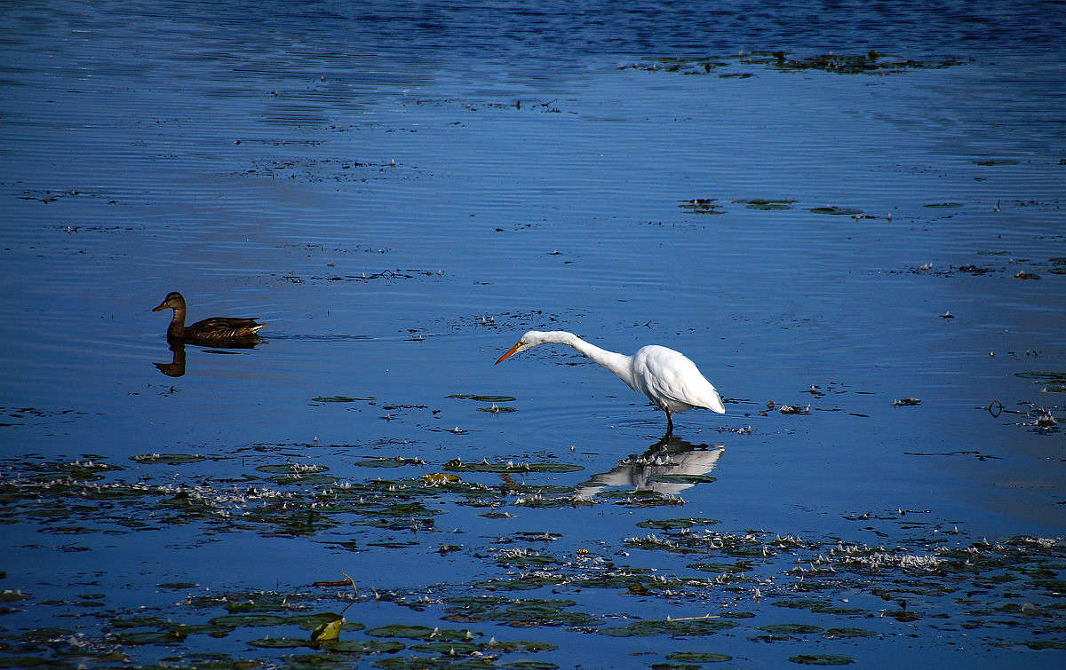 ������ ����������� ����� �������  �� PhotoGeek.ru #�������� ���