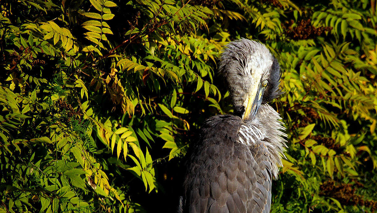 �� ��������? ����� �������  �� PhotoGeek.ru #�������� ���