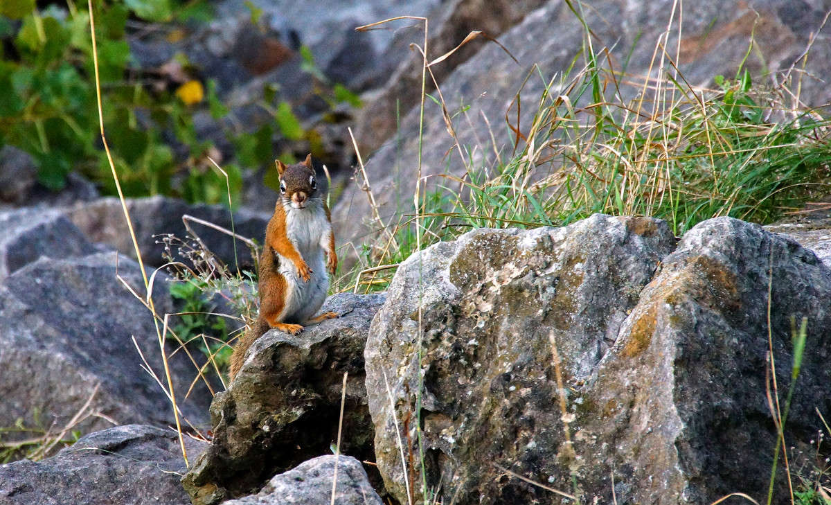 ���������� ����� �������  �� PhotoGeek.ru #�������� ���