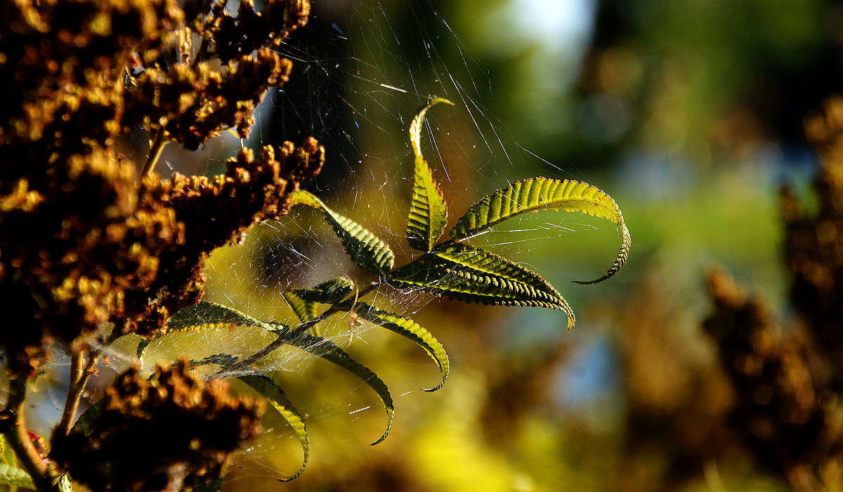 ����� ����� �������  �� PhotoGeek.ru #������ ��� �������